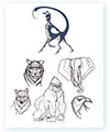 animal sketches